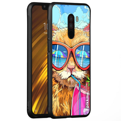 Pikkme Poco F1 back cover